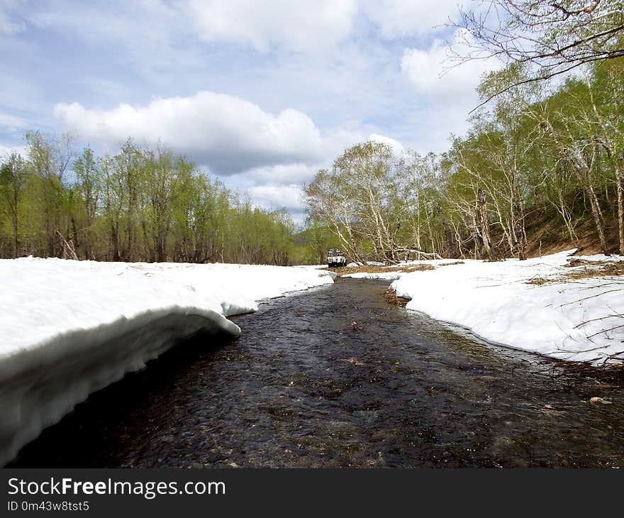 Water, River, Waterway, Tree