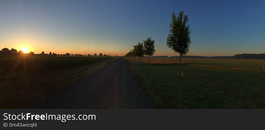 Sky, Road, Field, Dawn