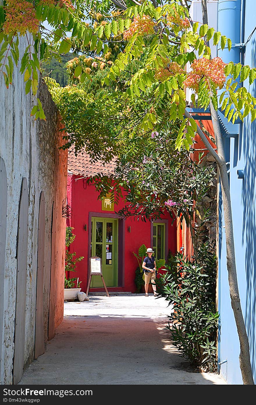 House, Neighbourhood, Leaf, Town