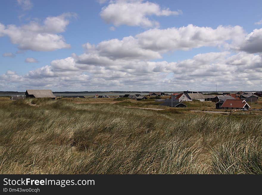 Cloud, Sky, Grassland, Ecosystem