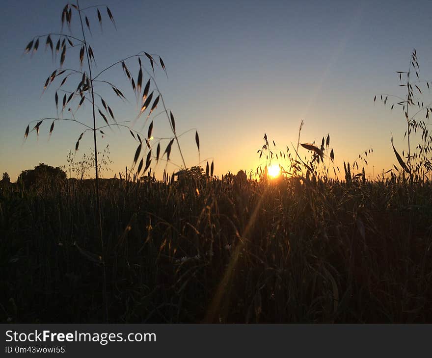 Sky, Ecosystem, Sun, Sunrise