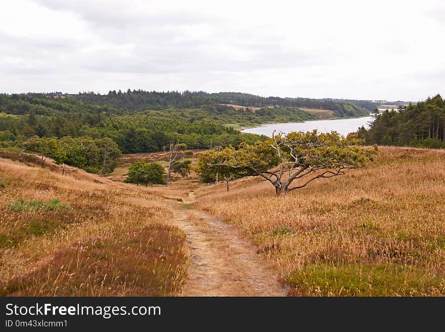 Nature Reserve, Loch, Path, Reservoir