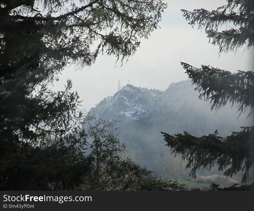 Tree, Mountainous Landforms, Sky, Mountain