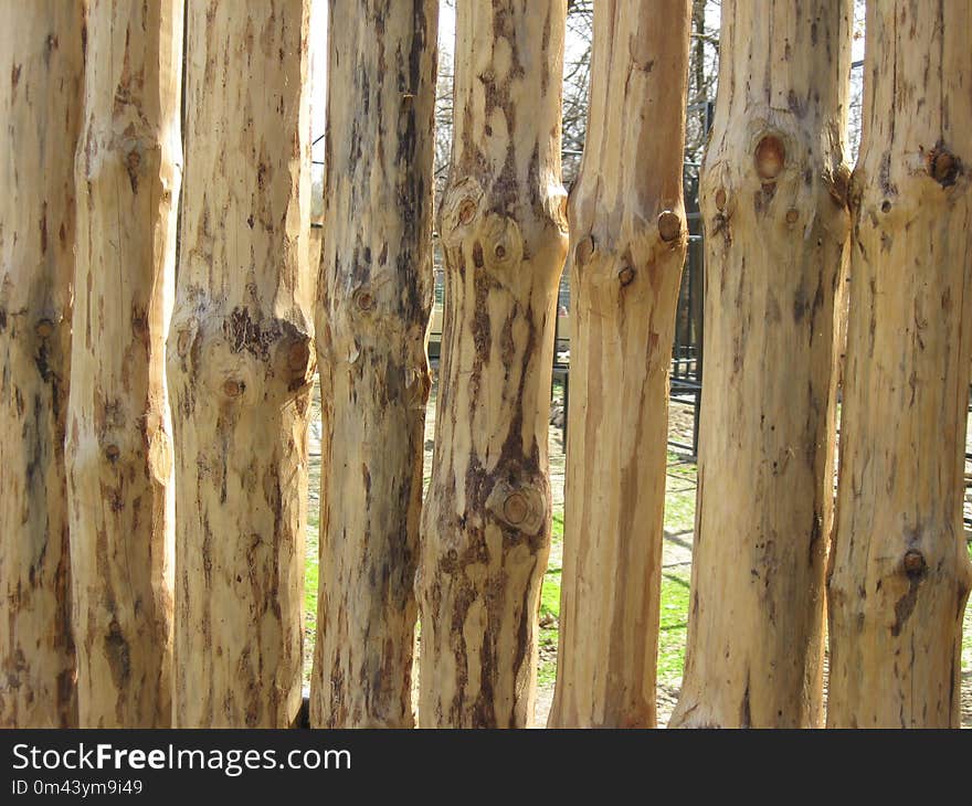 Wood, Trunk, Tree, Lumber