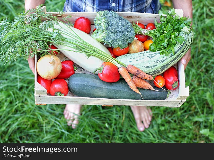 Barefoot farmer keeps a box of vegetables. Autumn harvesting con