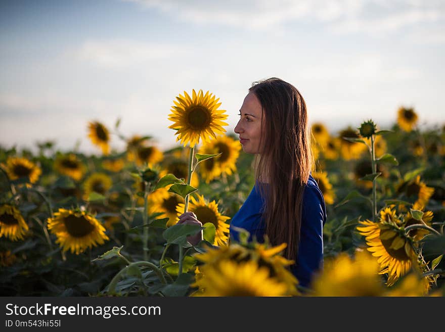 Girl in a blue dress in field of sunflowers