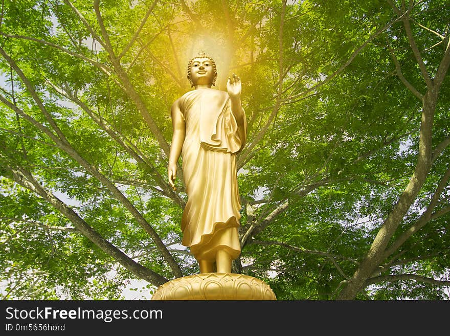 Statue, Nature, Tree, Monument