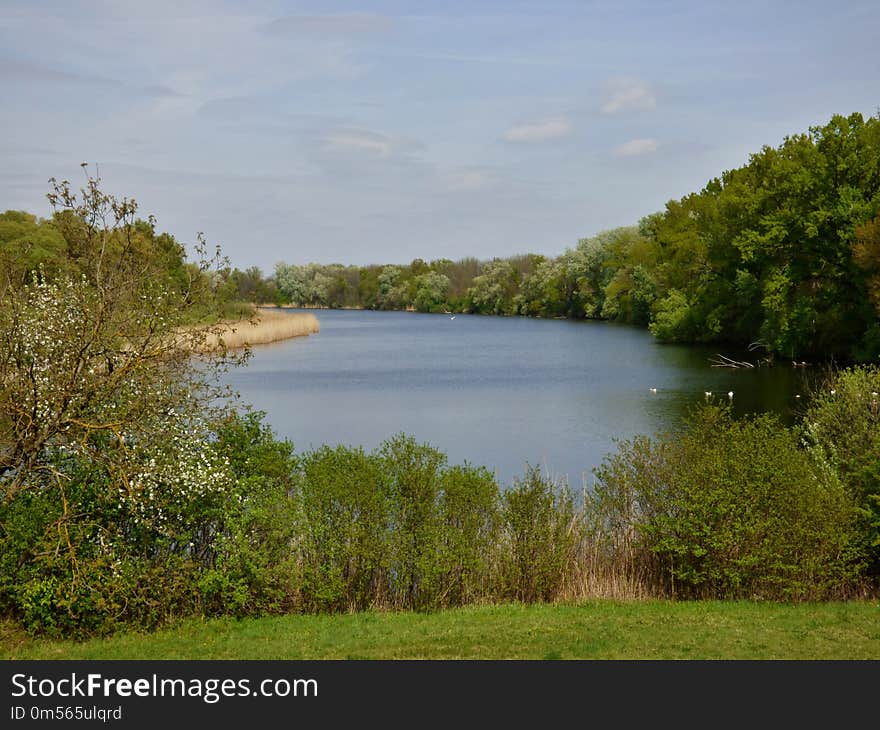 Nature Reserve, Ecosystem, Vegetation, Reservoir