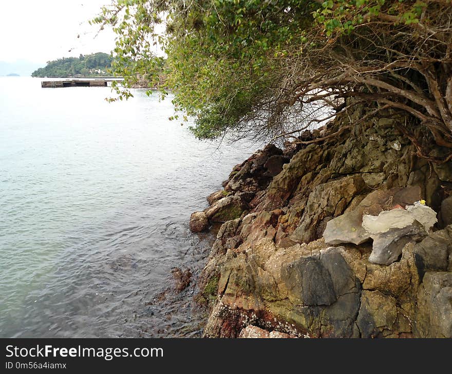 Nature Reserve, Water, Shore, Coast