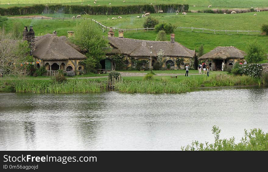 Nature Reserve, Reflection, Wetland, Bank