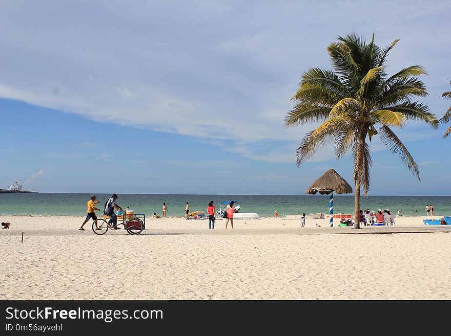 Beach, Sea, Body Of Water, Coastal And Oceanic Landforms