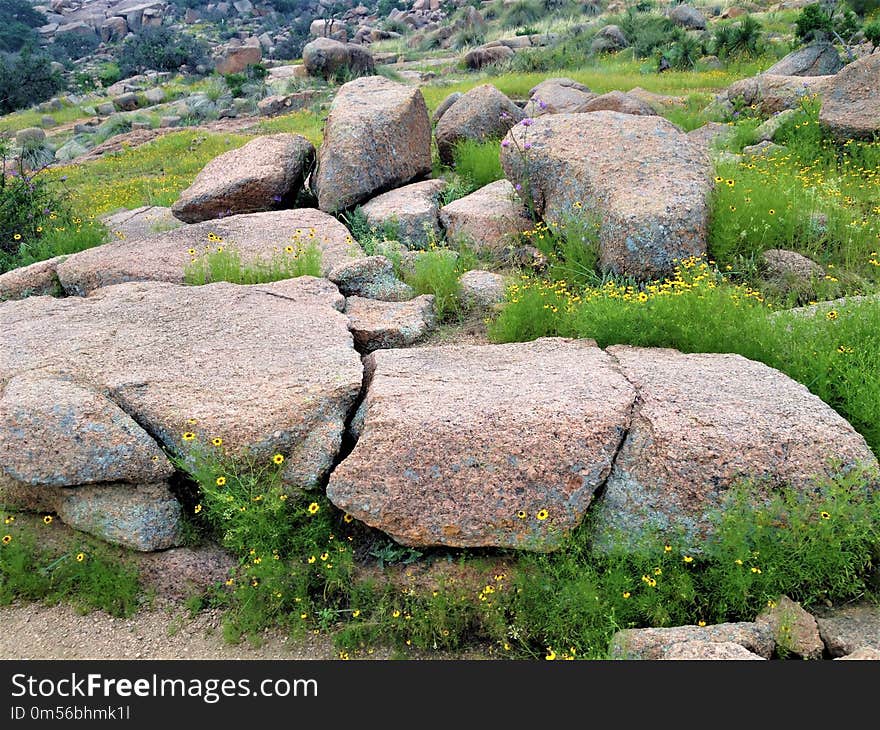 Rock, Vegetation, Boulder, Bedrock