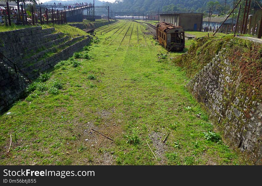 Vegetation, Grass, Geological Phenomenon, Soil