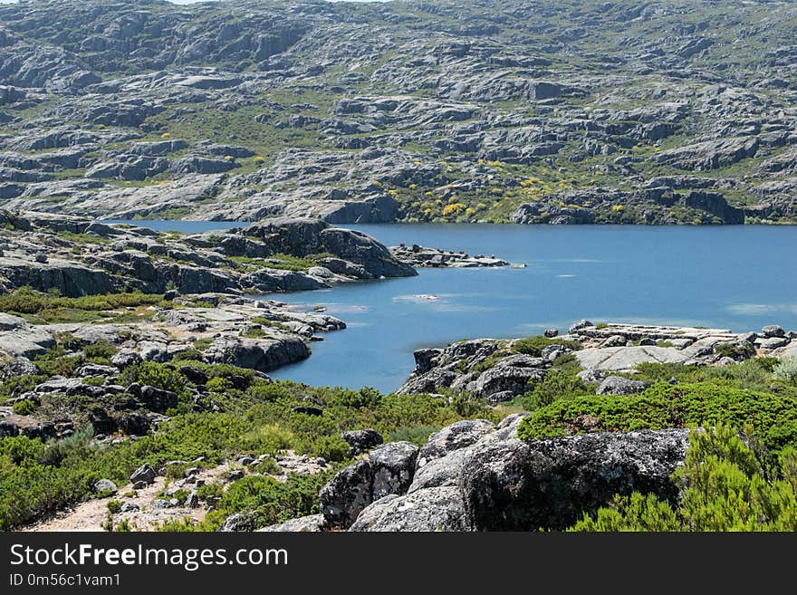 Nature Reserve, Coast, Wilderness, Vegetation