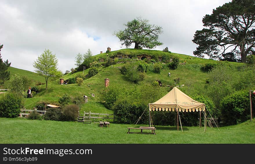 Nature Reserve, Grassland, Grass, Tree