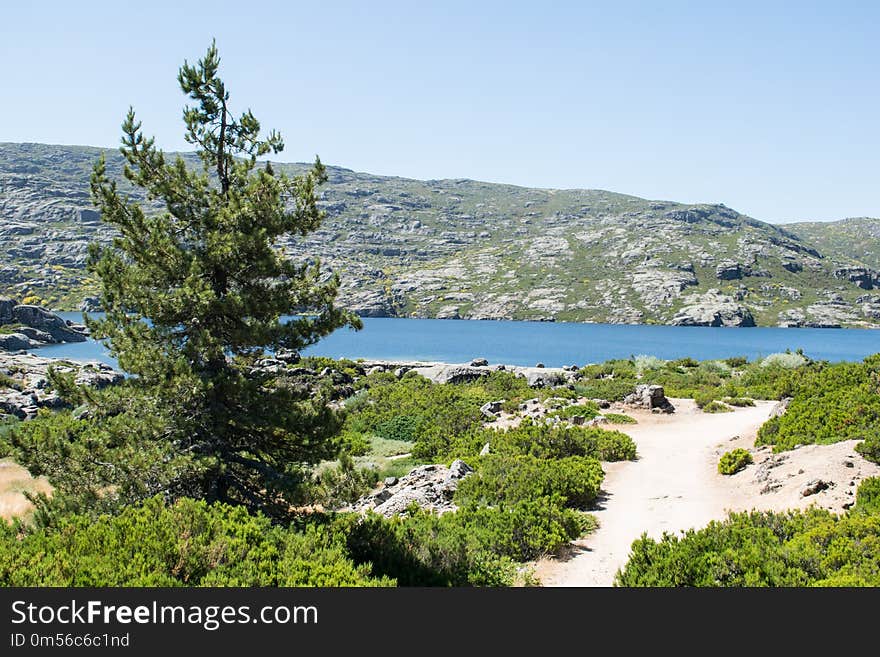 Nature Reserve, Wilderness, Lake, Vegetation