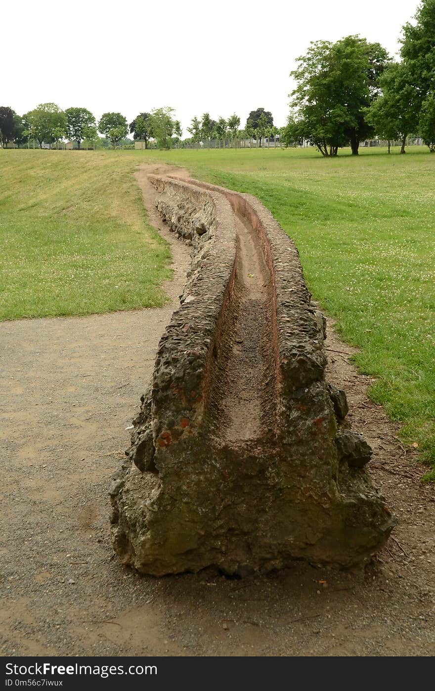 Grass, Tree, Rock, Soil