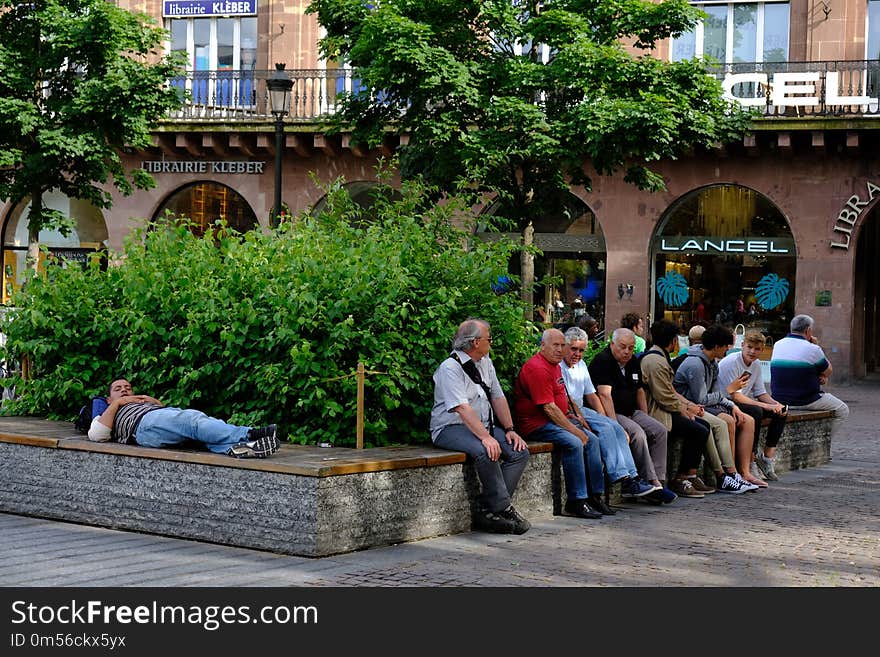 Public Space, Plant, Tree, Town