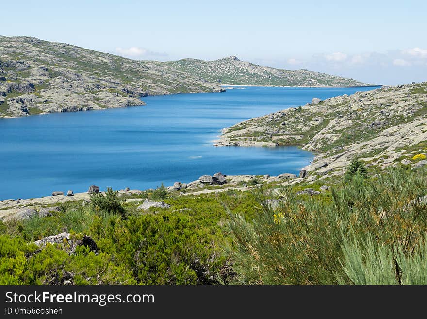 Coast, Nature Reserve, Vegetation, Loch