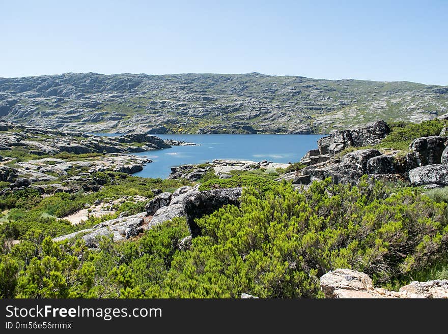 Nature Reserve, Coast, Vegetation, Promontory