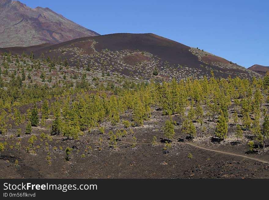 Wilderness, Vegetation, Mountain, Shrubland