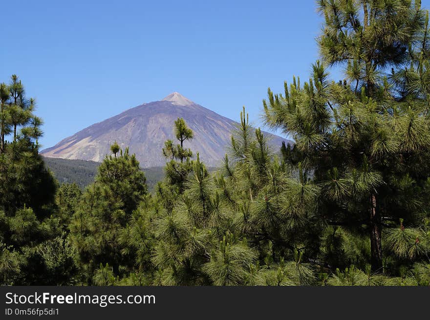 Wilderness, Vegetation, Tree, Mountainous Landforms