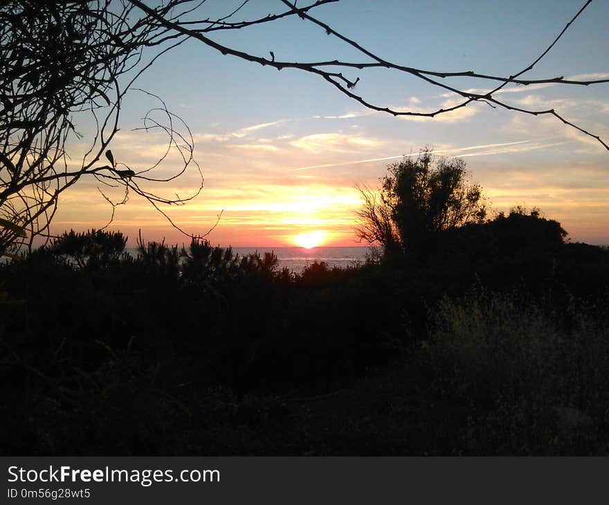 Sky, Sunrise, Sunset, Horizon