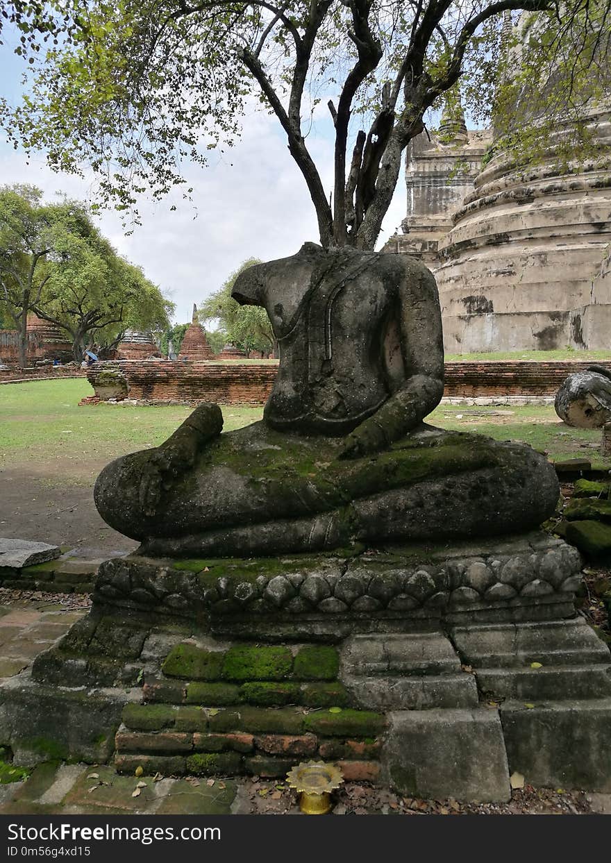 Sculpture, Statue, Tree, Monument