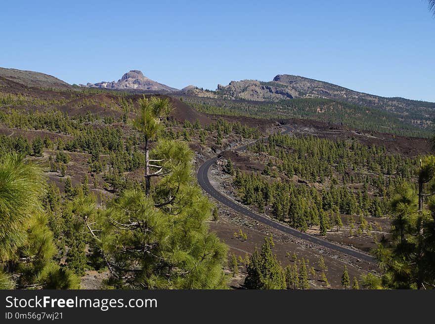 Wilderness, Mountain, Mountainous Landforms, Tree