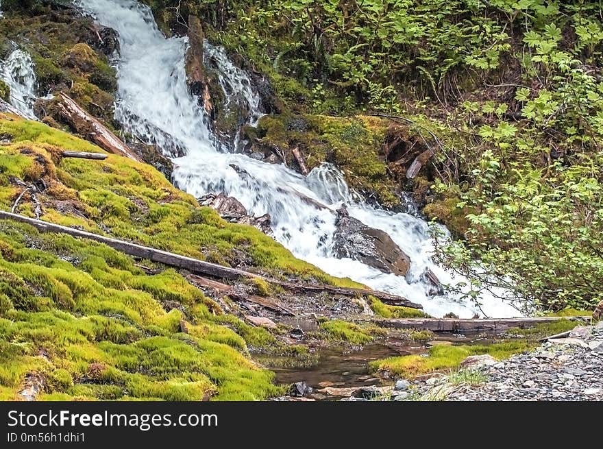 Waterfall, Nature Reserve, Body Of Water, Vegetation