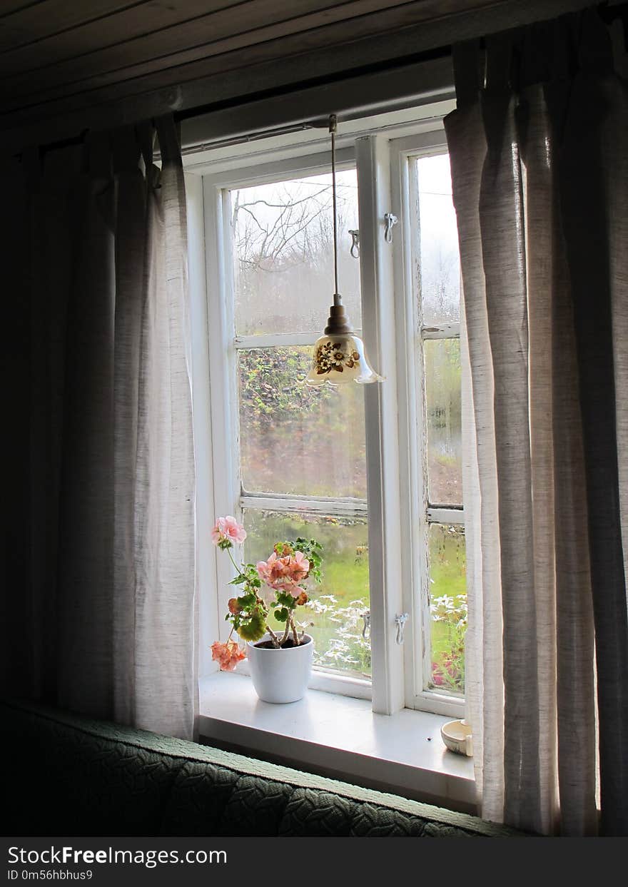 Window, Home, House, Flower