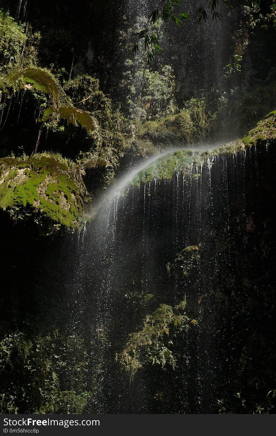 Water, Nature, Waterfall, Vegetation