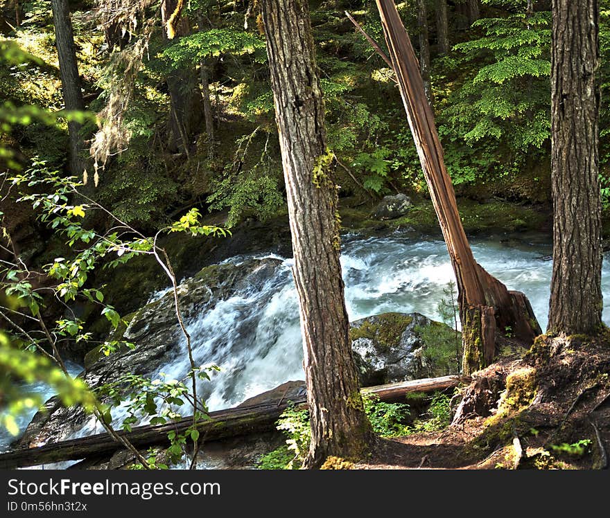 Water, Nature, Body Of Water, Nature Reserve