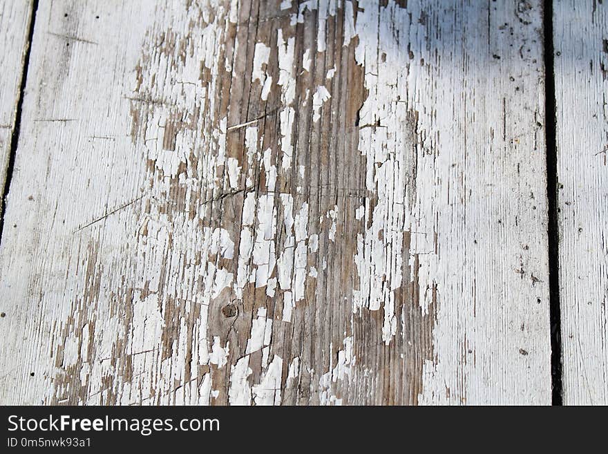 Wood, Wall, Tree, Trunk