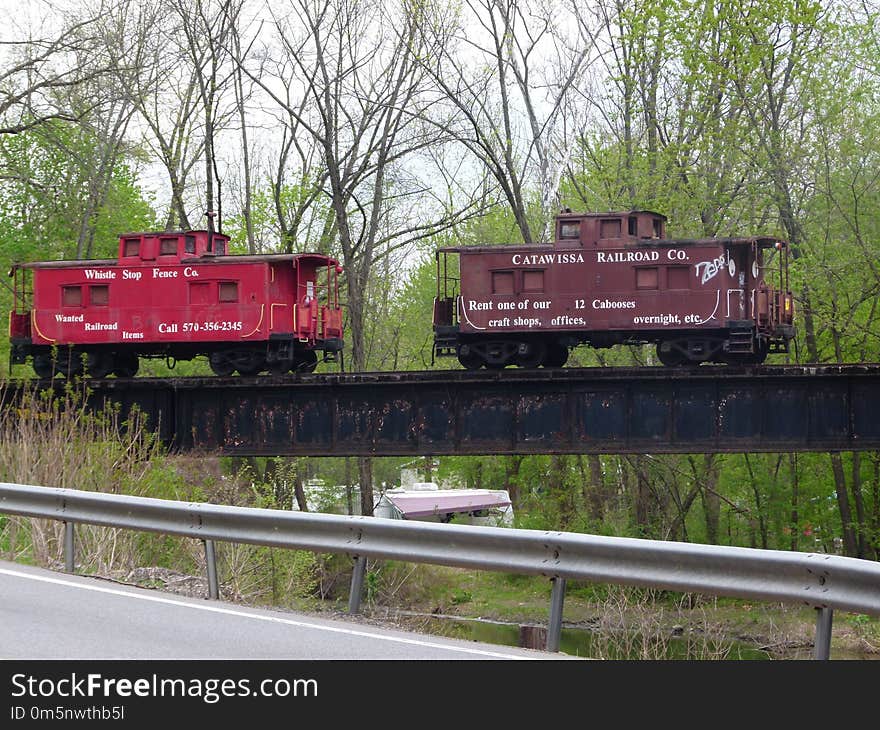 Track, Transport, Rail Transport, Train