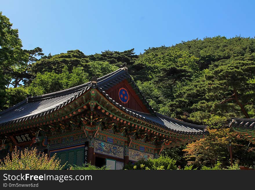 Landmark, Chinese Architecture, Sky, Tree