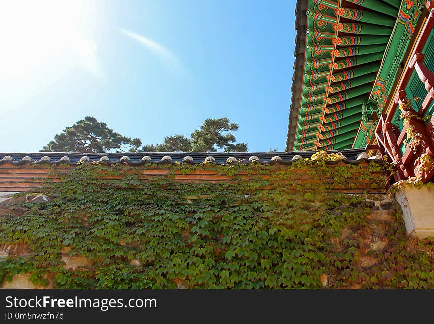 Landmark, Sky, Leaf, Roof