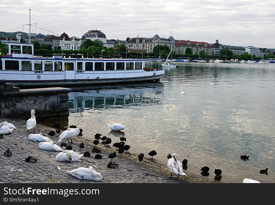 Body Of Water, Water, Water Transportation, Waterway