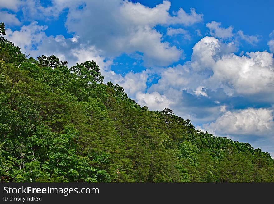 Sky, Vegetation, Cloud, Nature