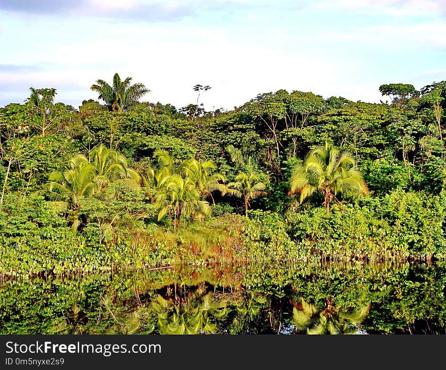 Vegetation, Nature Reserve, Ecosystem, Shrubland