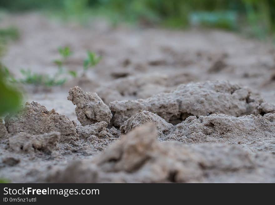 Soil, Grass, Rock, Sand