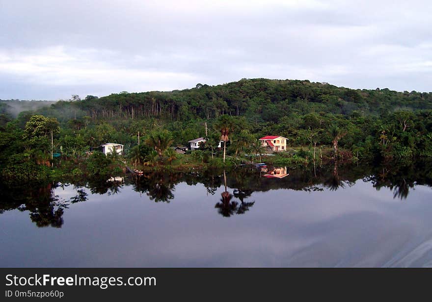 Reflection, Nature Reserve, Vegetation, Water