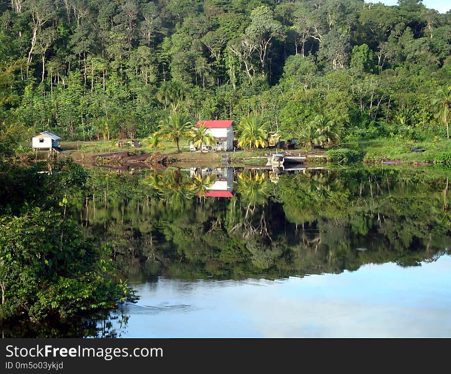 Waterway, Nature Reserve, Reflection, Vegetation