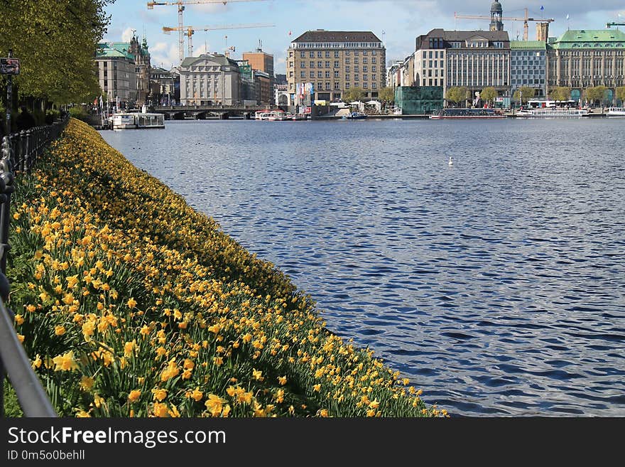 Water, Waterway, Body Of Water, City