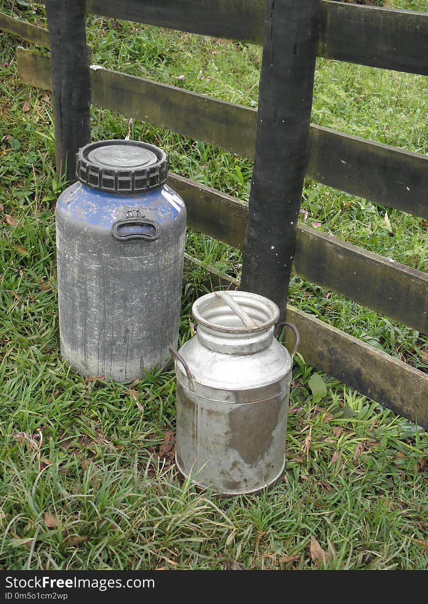 Drinkware, Grass, Water, Tree