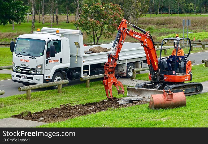 Transport, Tree, Vehicle, Motor Vehicle