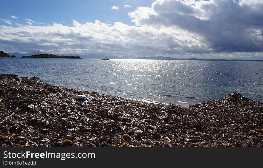 Sea, Sky, Shore, Coast