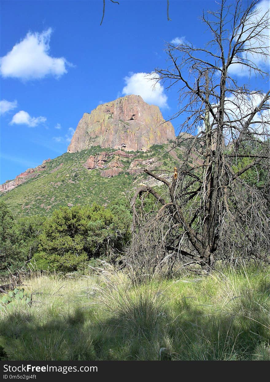 Vegetation, Mountainous Landforms, Wilderness, Shrubland