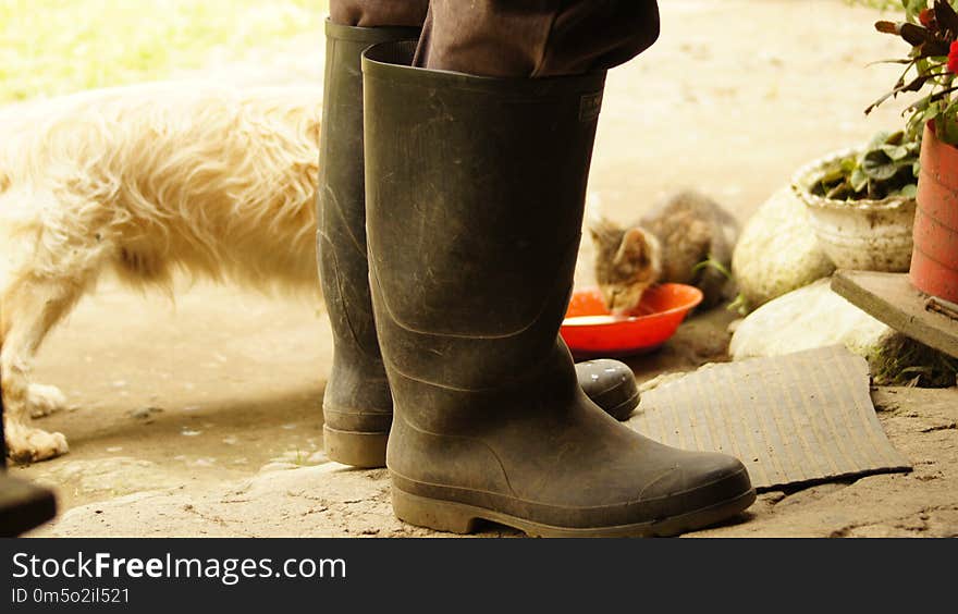 Footwear, Boot, Shoe, Outdoor Shoe