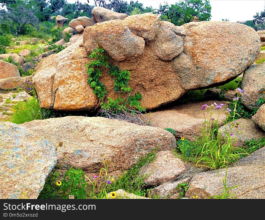 Rock, Boulder, Vegetation, Plant